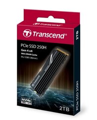 Transcend TS2TMTE250H цена и информация | Внутренние жёсткие диски (HDD, SSD, Hybrid) | pigu.lt