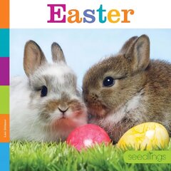 Easter цена и информация | Книги для подростков  | pigu.lt