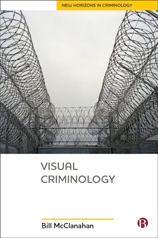 Visual Criminology kaina ir informacija | Socialinių mokslų knygos | pigu.lt