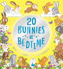 Twenty Bunnies at Bedtime kaina ir informacija | Knygos mažiesiems | pigu.lt