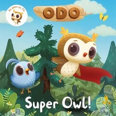 Odo: Super Owl! kaina ir informacija | Knygos mažiesiems | pigu.lt