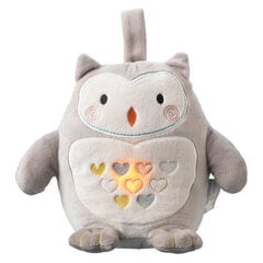 Pliušinis migdukas Tommee Tippee Ollie the Owl kaina ir informacija | Žaislai kūdikiams | pigu.lt