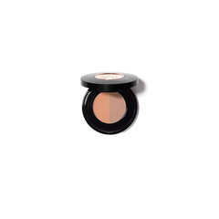 Antakių šešėliai Anastasia Beverly Hills Brow Powder Duo Caramel, 1,6g kaina ir informacija | Antakių dažai, pieštukai | pigu.lt