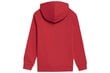 Bluzonas berniukams 4F, raudonas kaina ir informacija | Megztiniai, bluzonai, švarkai berniukams | pigu.lt