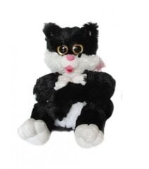 Kaķis 25 cm ar skaņu K1077 цена и информация | Мягкие игрушки | pigu.lt