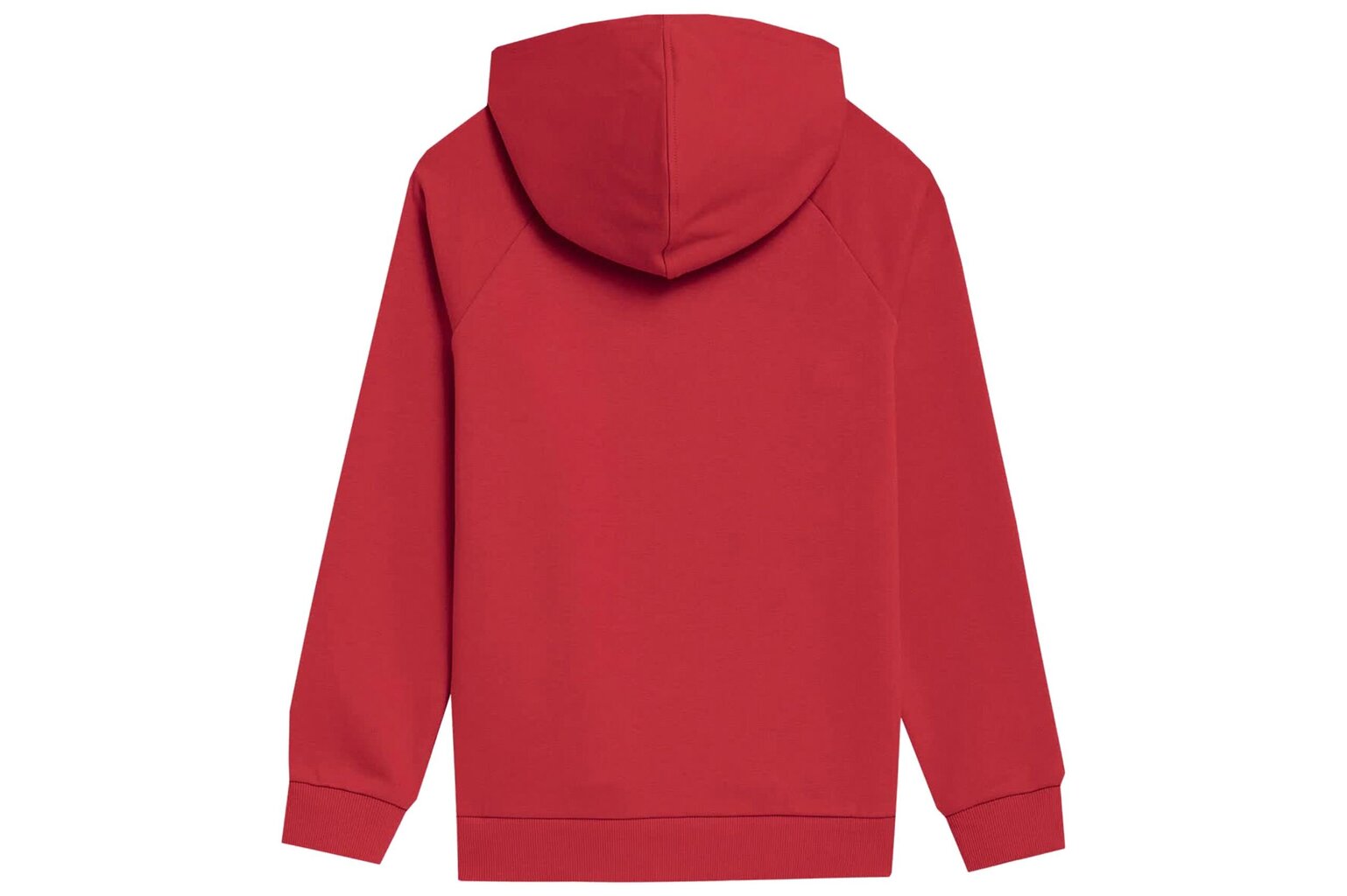Džemperis berniukams 4f, raudonas kaina ir informacija | Megztiniai, bluzonai, švarkai berniukams | pigu.lt