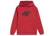 Džemperis berniukams 4f, raudonas kaina ir informacija | Megztiniai, bluzonai, švarkai berniukams | pigu.lt