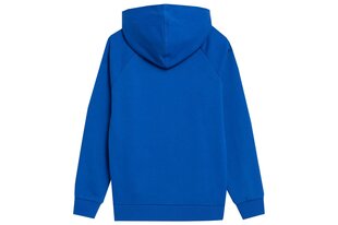 Bluzonas berniukams 4F, mėlynas kaina ir informacija | Megztiniai, bluzonai, švarkai berniukams | pigu.lt