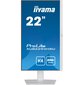 Iiyama ProLite XUB2294HSU-W2 цена и информация | Monitoriai | pigu.lt