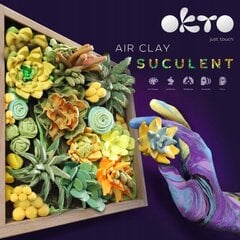 Творческий набор Wood&Craft DIY Succulents - Energy 21x21cm цена и информация | Принадлежности для рисования, лепки | pigu.lt