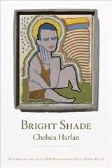 Bright shade kaina ir informacija | Poezija | pigu.lt