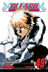 Bleach, Vol. 49: The Lost Agent, 49 цена и информация | Фантастика, фэнтези | pigu.lt