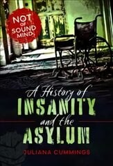 History of Insanity and the Asylum: Not of Sound Mind цена и информация | Исторические книги | pigu.lt