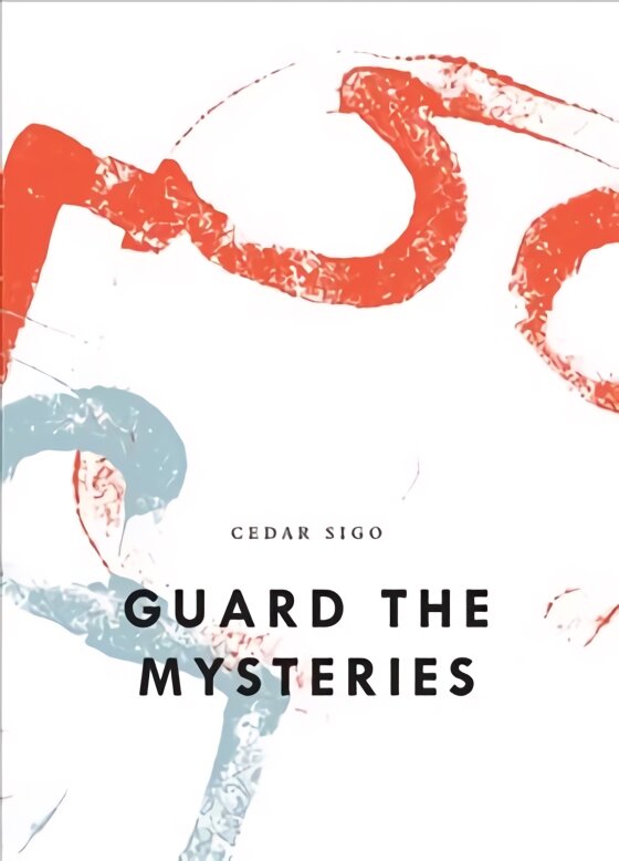 Guard the mysteries kaina ir informacija | Poezija | pigu.lt