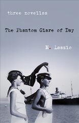 Phantom Glare of Day: A Novel цена и информация | Фантастика, фэнтези | pigu.lt