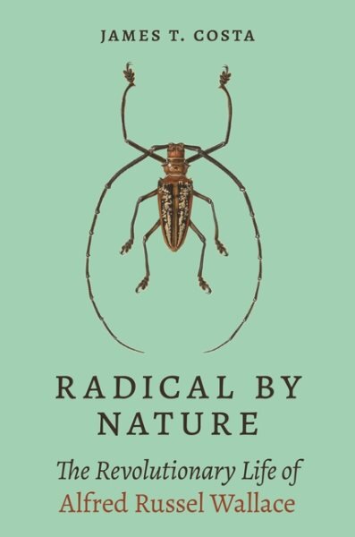 Radical by Nature: The Revolutionary Life of Alfred Russel Wallace kaina ir informacija | Biografijos, autobiografijos, memuarai | pigu.lt