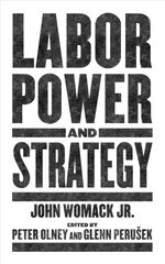 Labor power and strategy kaina ir informacija | Socialinių mokslų knygos | pigu.lt