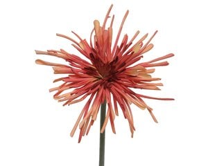Dirbtinė gėlė Chrizantema kaina ir informacija | Dirbtinės gėlės | pigu.lt