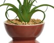 Dirbtinis augalas vazone цена и информация | Dirbtinės gėlės | pigu.lt