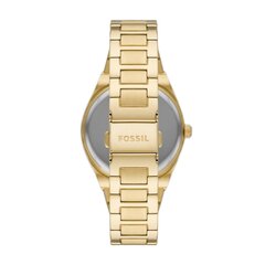 Женские часы Fossil Scarlette  цена и информация | Женские часы | pigu.lt