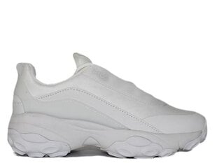 Fila loligo wmn fila for women's white ffw029610004 FFW029610004 цена и информация | Спортивная обувь, кроссовки для женщин | pigu.lt