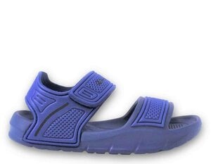 Sandal squirt b td champion legacy for children's blue s32629bs036 S32629BS036 цена и информация | Детские сандали | pigu.lt