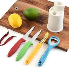Набор ножей, 4 шт. цена и информация | Ножи и аксессуары для них | pigu.lt