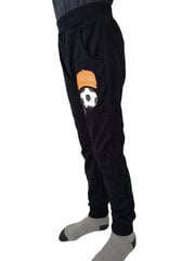 Cпортивные штаны для мальчиков цена и информация | Спортивные штаны для мальчиков | pigu.lt