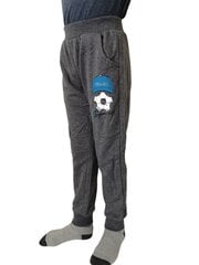 Cпортивные штаны для мальчиков цена и информация | Штаны для мальчиков | pigu.lt