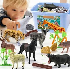Žaislinių figūrėlių rinkinys Doris Safari Zoo, 58 vnt kaina ir informacija | Lavinamieji žaislai | pigu.lt