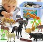 Žaislinių figūrėlių rinkinys Doris Safari Zoo, 58 vnt цена и информация | Lavinamieji žaislai | pigu.lt