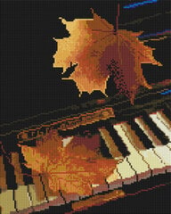 Deimantinė mozaika su rėmeliu Piano, 30x40 cm kaina ir informacija | Deimantinės mozaikos | pigu.lt