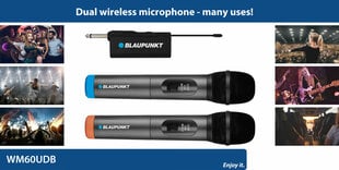 Blaupunkt microphone WM60UDB цена и информация | Микрофоны | pigu.lt