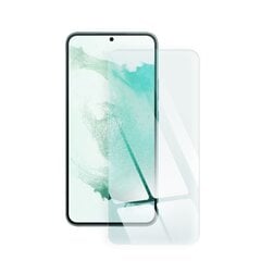 Защитное стекло для Blue Star iPhone 13 Pro Max цена и информация | Защитные пленки для телефонов | pigu.lt