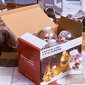 Šviečiantys Kalėdiniai žaisliukai su Kalėdų senelio motyvais, 3m kaina ir informacija | Dekoracijos šventėms | pigu.lt