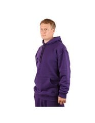 Джемпер унисекс Hoodie Purple, фиолетовый цена и информация | Мужские толстовки | pigu.lt