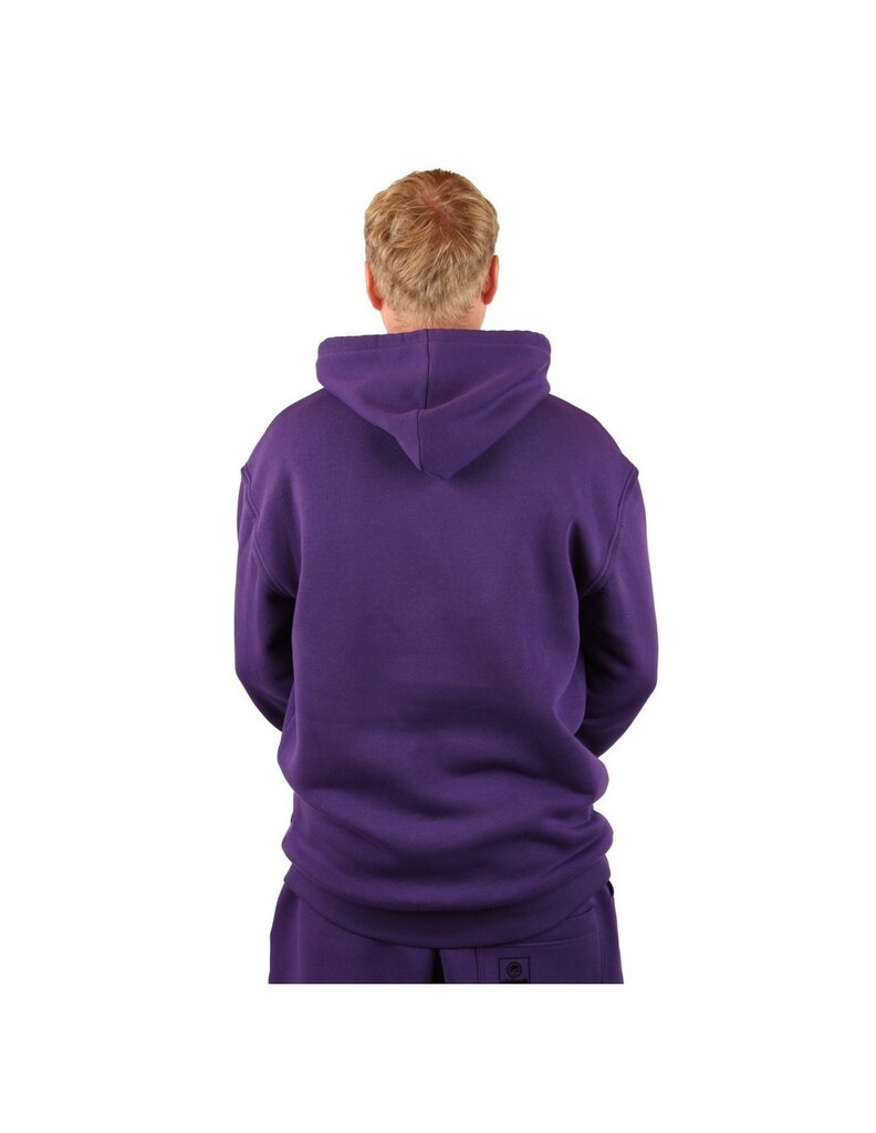 Džemperis vyrams Hoodie HDPU, violetinis kaina ir informacija | Džemperiai vyrams | pigu.lt