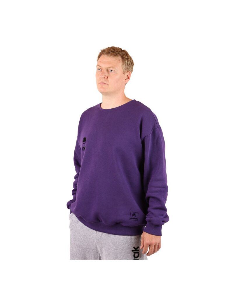 Džemperis vyrams Crew Neck CNPU, violetinis цена и информация | Džemperiai vyrams | pigu.lt