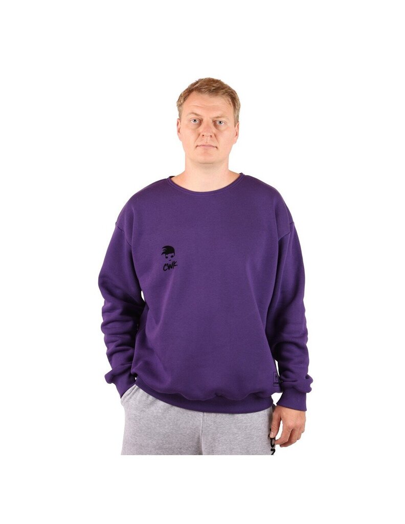 Džemperis vyrams Crew Neck CNPU, violetinis цена и информация | Džemperiai vyrams | pigu.lt