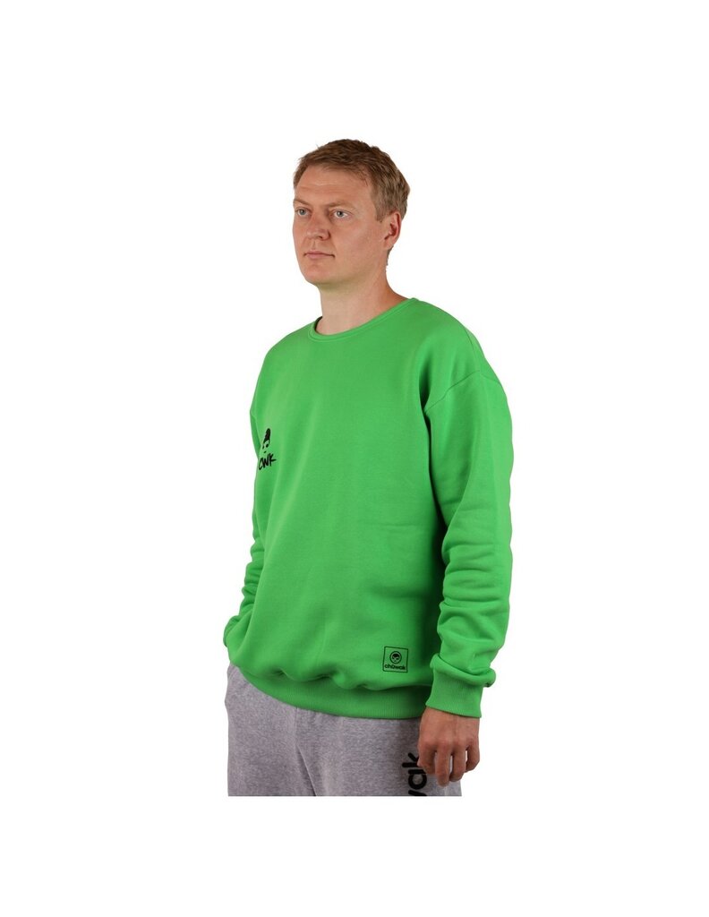 Džemperis vyrams Crew Neck Classic CNCG, žalias цена и информация | Džemperiai vyrams | pigu.lt