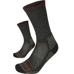 Мужские носки Merino Hiker Eco Lorpen T2WE - серый 8445042938003 цена и информация | Sportinis kostiumas moterims Kinga, veliūrinis | pigu.lt