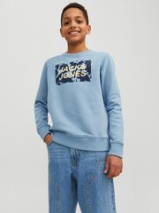 Jack & Jones megztinis berniukams kaina ir informacija | Megztiniai, bluzonai, švarkai berniukams | pigu.lt