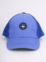 Kepurė berniukams 5904921612616, mėlyna kaina ir informacija | Kepurės, pirštinės, šalikai berniukams | pigu.lt