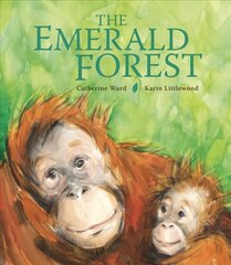 Emerald Forest kaina ir informacija | Knygos mažiesiems | pigu.lt