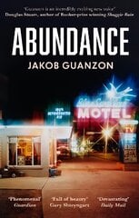 Abundance: Unputdownable and heartbreaking coming-of-age fiction about fathers and sons kaina ir informacija | Fantastinės, mistinės knygos | pigu.lt