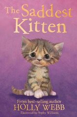 Saddest Kitten цена и информация | Книги для подростков и молодежи | pigu.lt