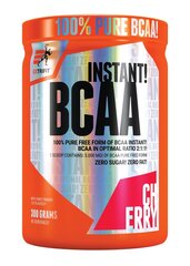 Aminorūgštys Extrifit Bcaa Instant 2:1:1, 300 g kaina ir informacija | Aminorūgštys | pigu.lt