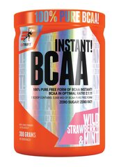 Aminorūgštys Extrifit Bcaa Instant 2:1:1, 300 g kaina ir informacija | Aminorūgštys | pigu.lt