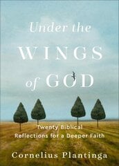 Under the Wings of God - Twenty Biblical Reflections for a Deeper Faith: Twenty Biblical Reflections for a Deeper Faith цена и информация | Духовная литература | pigu.lt