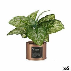 Dekoratyvinis augalas, 6 vnt. kaina ir informacija | Dirbtinės gėlės | pigu.lt